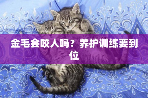 金毛會咬人嗎？養護訓練要到位