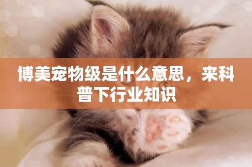 博美寵物級是什么意思，來科普下行業知識