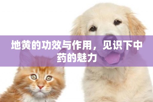 地黃的功效與作用，見識下中藥的魅力