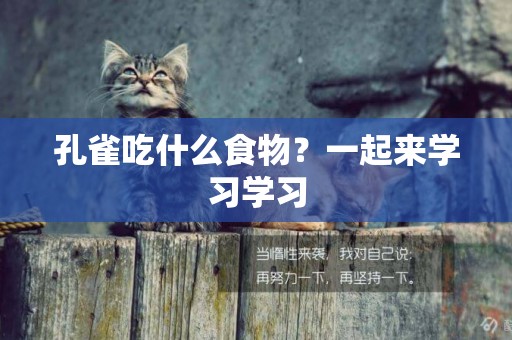 孔雀吃什么食物？一起來學習學習