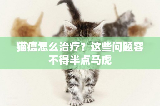 貓瘟怎么治療？這些問題容不得半點馬虎