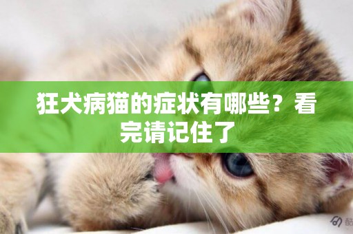 狂犬病貓的癥狀有哪些？看完請記住了