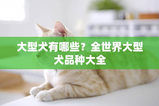 大型犬有哪些？全世界大型犬品種大全