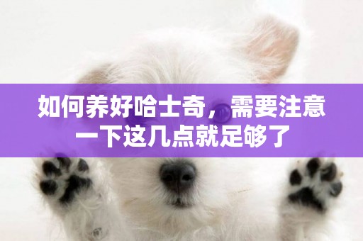 如何養好哈士奇，需要注意一下這幾點就足夠了