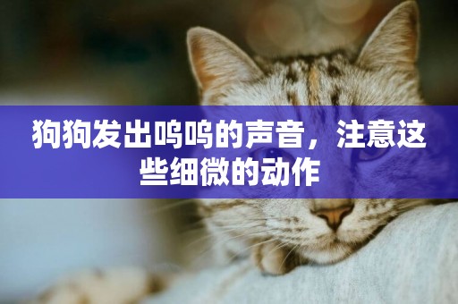 狗狗發出嗚嗚的聲音，注意這些細微的動作