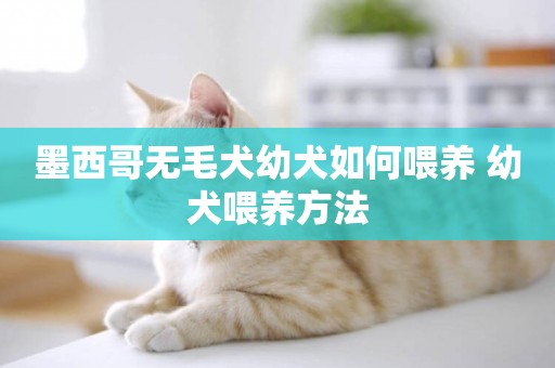 墨西哥無毛犬幼犬如何喂養 幼犬喂養方法