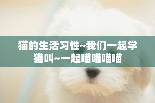 貓的生活習性~我們一起學貓叫~一起喵喵喵喵