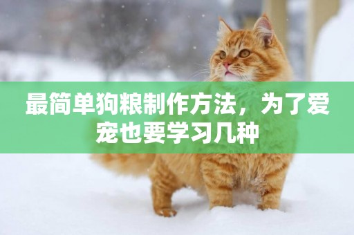 最簡單狗糧制作方法，為了愛寵也要學習幾種