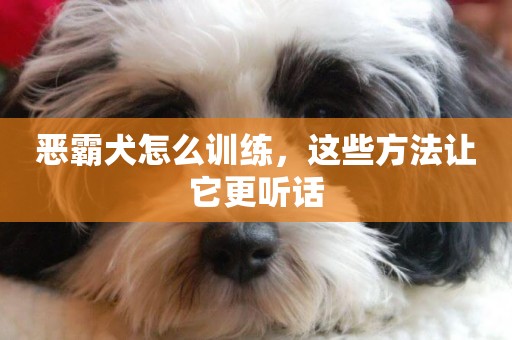 惡霸犬怎么訓練，這些方法讓它更聽話