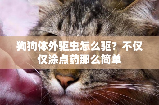 狗狗體外驅蟲怎么驅？不僅僅涂點藥那么簡單