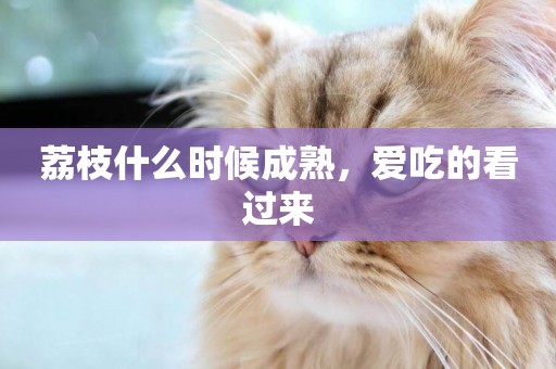 荔枝什么時候成熟，愛吃的看過來