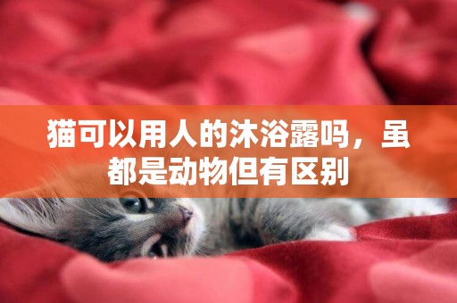 貓可以用人的沐浴露嗎，雖都是動物但有區別
