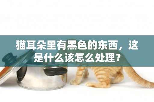 貓耳朵里有黑色的東西，這是什么該怎么處理？