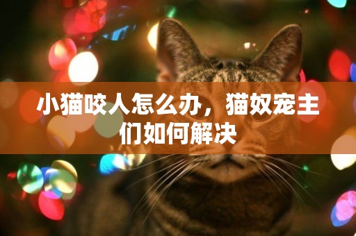 小貓咬人怎么辦，貓奴寵主們如何解決