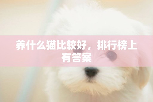 養什么貓比較好，排行榜上有答案