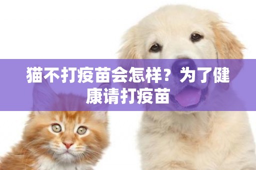 貓不打疫苗會怎樣？為了健康請打疫苗