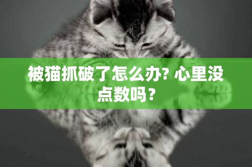 被貓抓破了怎么辦? 心里沒點數嗎？
