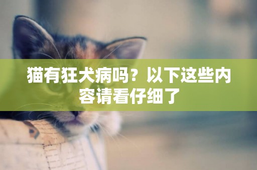 貓有狂犬病嗎？以下這些內容請看仔細了