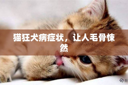 貓狂犬病癥狀，讓人毛骨悚然