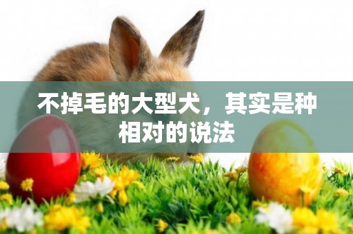 不掉毛的大型犬，其實是種相對的說法
