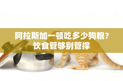 阿拉斯加一頓吃多少狗糧？飲食管夠別管撐