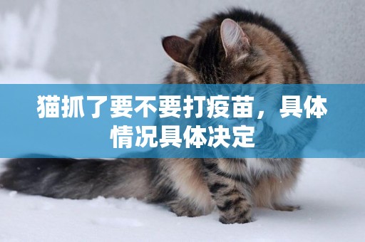貓抓了要不要打疫苗，具體情況具體決定