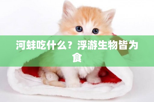 河蚌吃什么？浮游生物皆為食