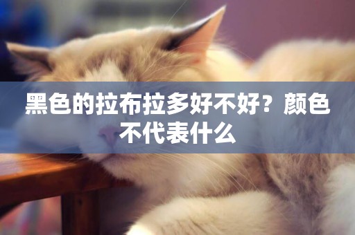 黑色的拉布拉多好不好？顏色不代表什么