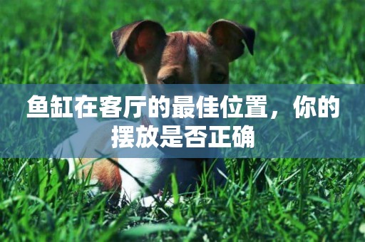 魚缸在客廳的最佳位置，你的擺放是否正確