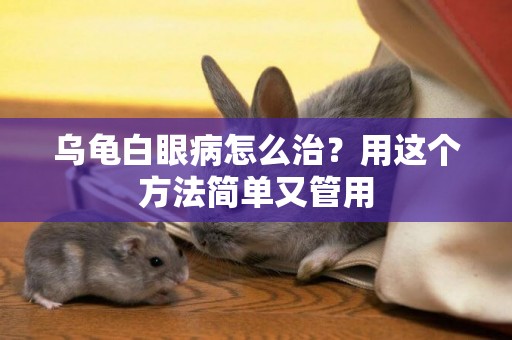 烏龜白眼病怎么治？用這個方法簡單又管用