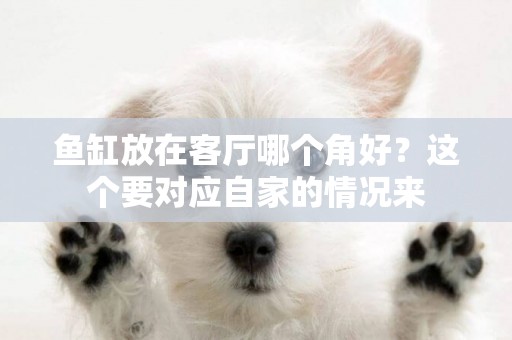 魚缸放在客廳哪個角好？這個要對應自家的情況來