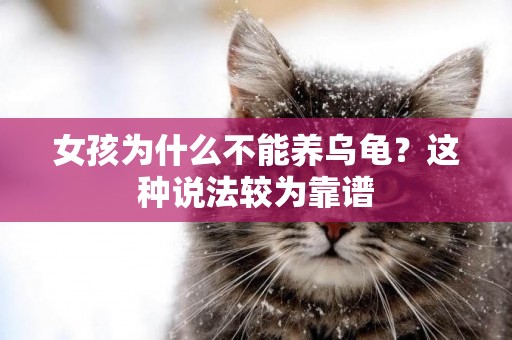 女孩為什么不能養烏龜？這種說法較為靠譜
