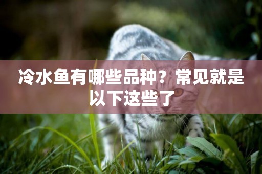 冷水魚有哪些品種？常見就是以下這些了