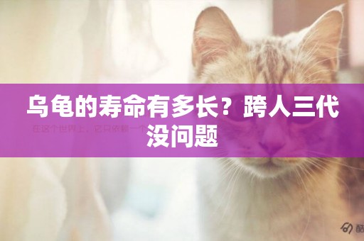 烏龜的壽命有多長？跨人三代沒問題