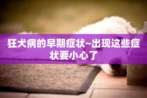狂犬病的早期癥狀~出現這些癥狀要小心了