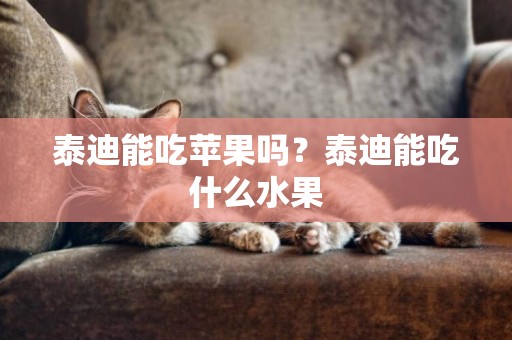 泰迪能吃蘋果嗎？泰迪能吃什么水果