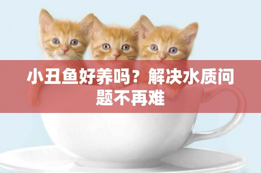 小丑魚好養嗎？解決水質問題不再難