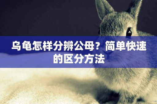 烏龜怎樣分辨公母？簡單快速的區分方法