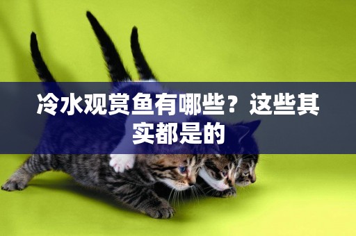 冷水觀賞魚有哪些？這些其實都是的