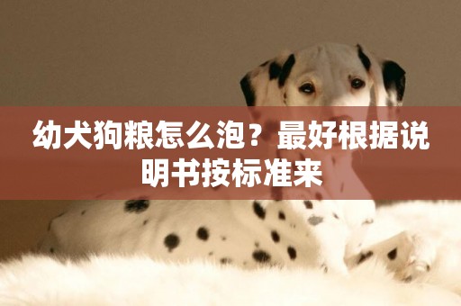 幼犬狗糧怎么泡？最好根據說明書按標準來