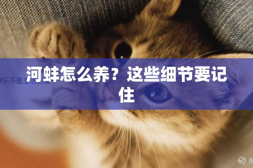 河蚌怎么養？這些細節要記住