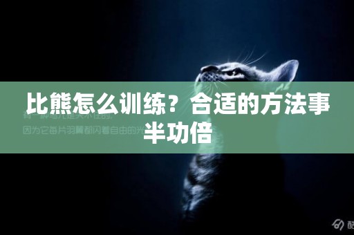 比熊怎么訓練？合適的方法事半功倍