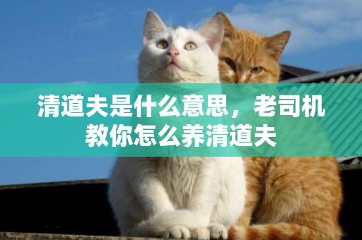 清道夫是什么意思，老司機教你怎么養清道夫