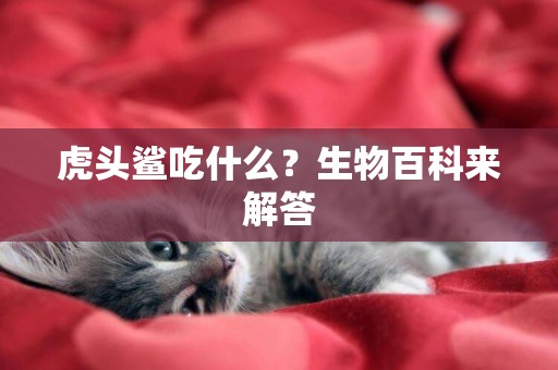 虎頭鯊吃什么？生物百科來解答