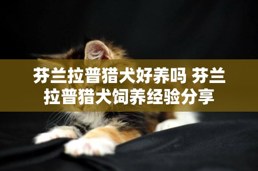 芬蘭拉普獵犬好養嗎 芬蘭拉普獵犬飼養經驗分享