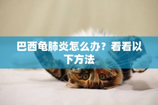 巴西龜肺炎怎么辦？看看以下方法