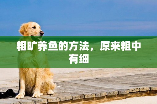 粗曠養魚的方法，原來粗中有細