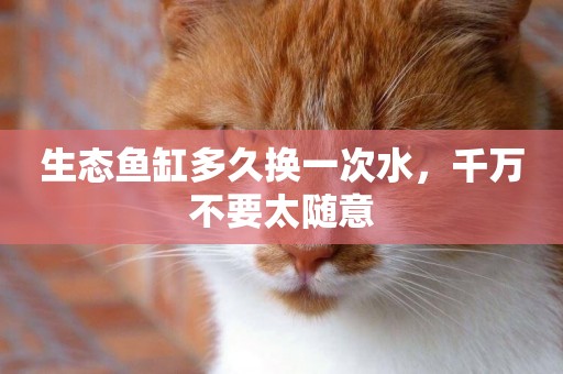 生態魚缸多久換一次水，千萬不要太隨意
