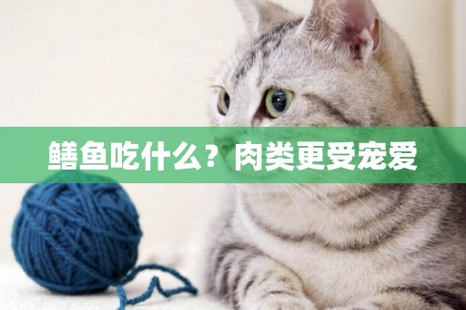 鱔魚吃什么？肉類更受寵愛
