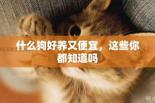 什么狗好養又便宜，這些你都知道嗎